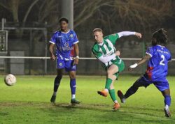 1001-013