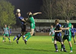 1019-033-2