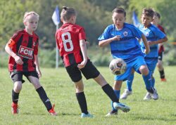 883-028